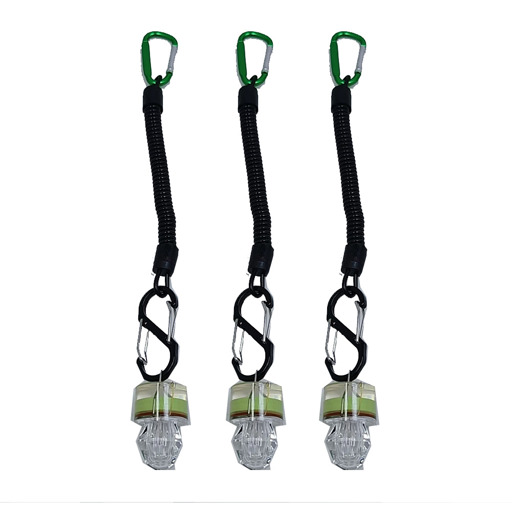 2-3PCS LED Fishing Lights With - đánh giá và giá Fish Alarm