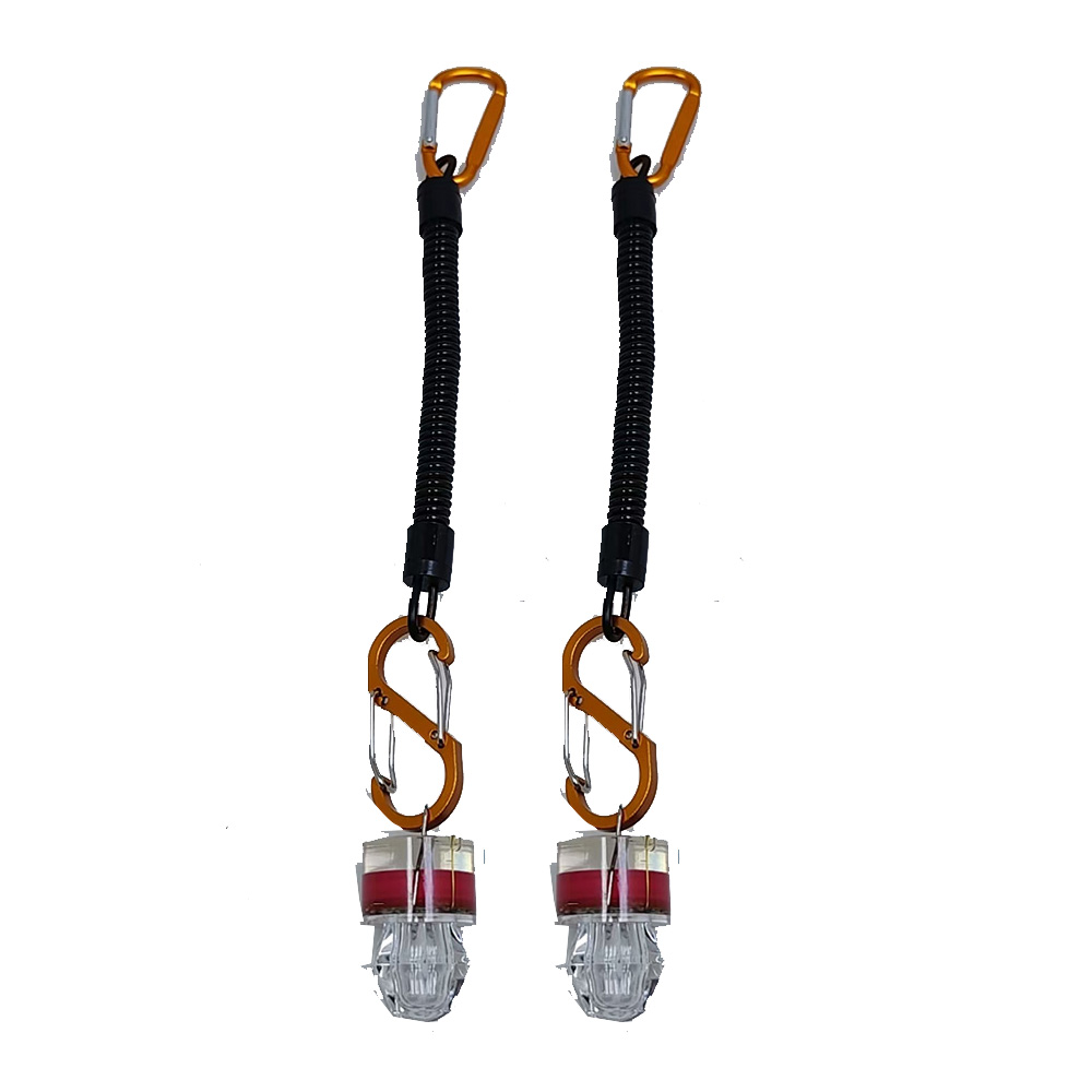 2-3PCS LED Fishing Lights With - đánh giá và giá Fish Alarm